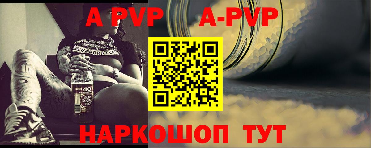 APVP СК Коряжма