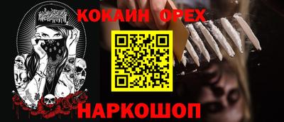 спайс Кингисепп