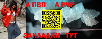 спайс Кингисепп