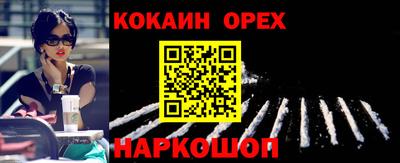 спайс Кингисепп