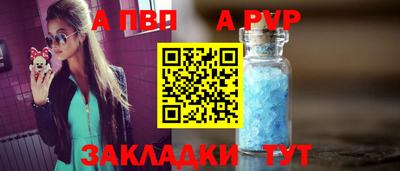 спайс Кингисепп