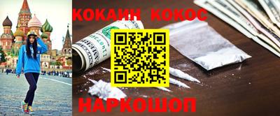 спайс Кингисепп