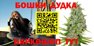 спайс Кингисепп