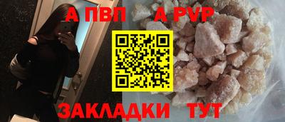 спайс Кингисепп