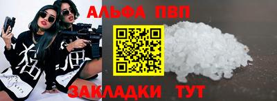 спайс Кингисепп