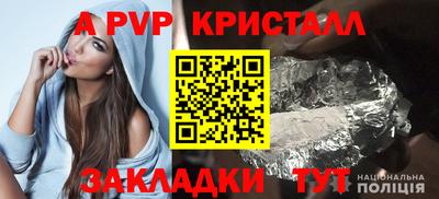 спайс Кингисепп