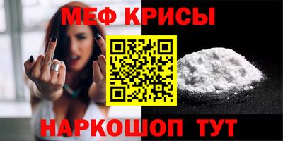 спайс Кингисепп