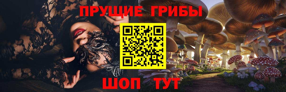 Галлюциногенные грибы ЛСД  Вход с VPN  Коряжма  Галлюциногенные грибы Cubensis 
